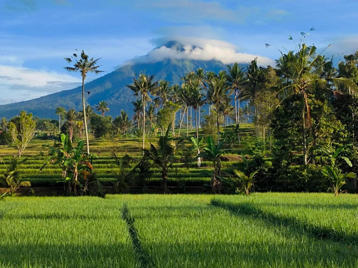 Готель Sawah Ijen Licin Екстер'єр фото