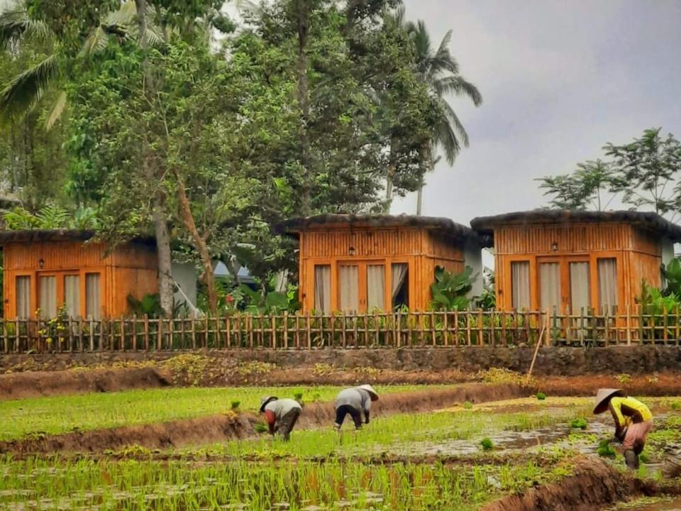 Готель Sawah Ijen Licin Екстер'єр фото