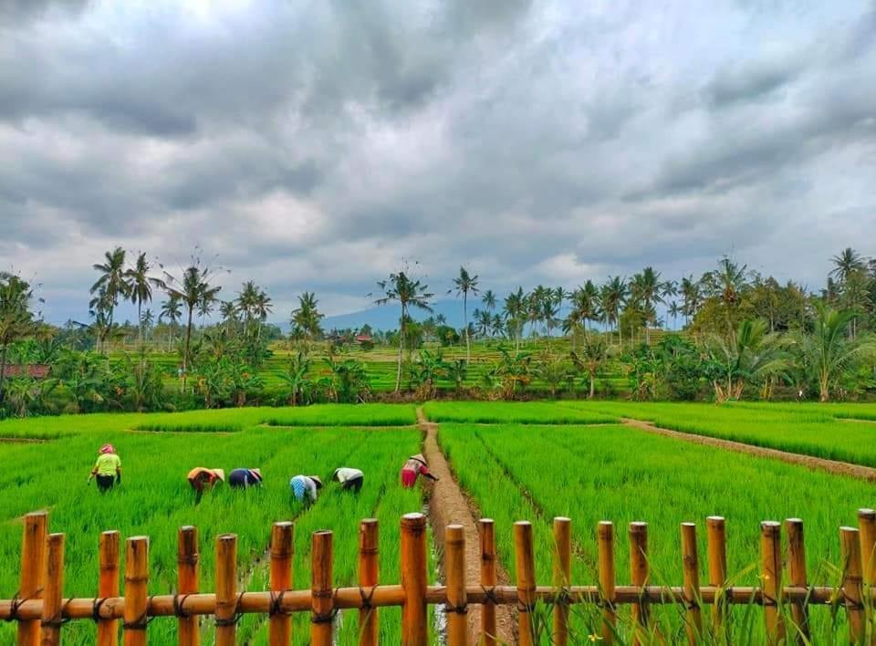 Готель Sawah Ijen Licin Екстер'єр фото